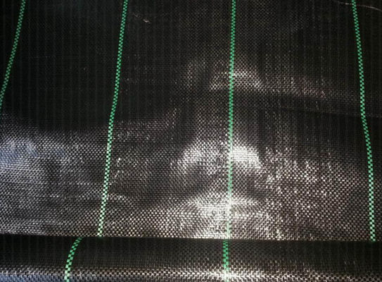 Anti prodotto intessuto la BV a terra resistente UV del diserbo del tessuto della copertura